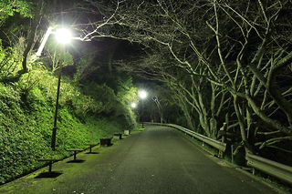 城山公園の夜景スポット写真（5）class=