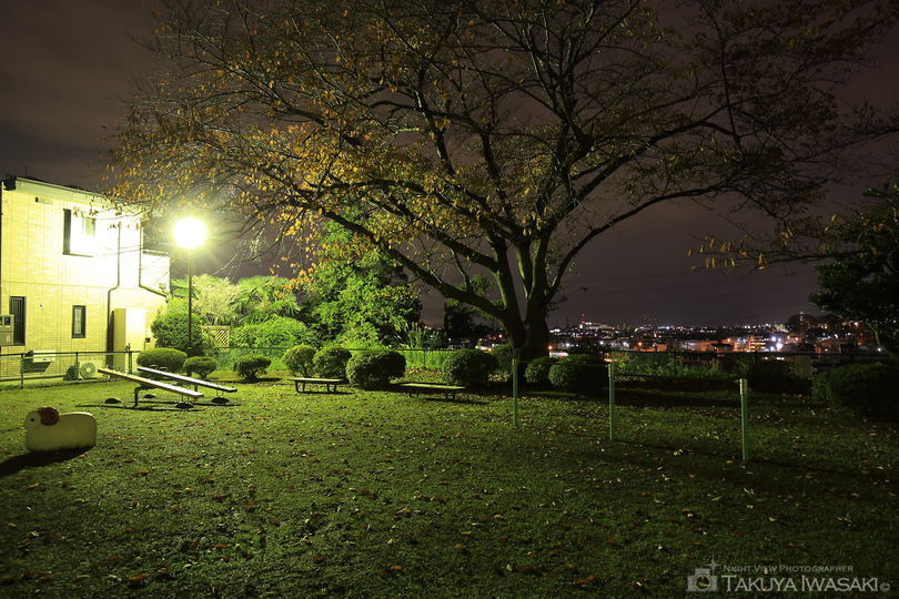 塔ノ越公園の夜景スポット写真（3）