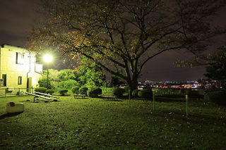 街灯に照らされた公園の雰囲気