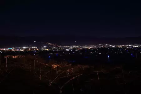 みやさか道（東八中央農免農道）の夜景