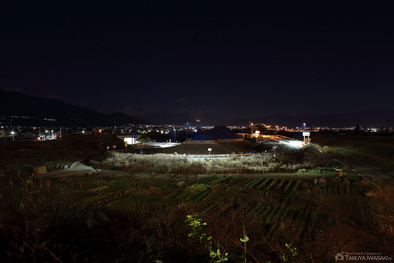 富士川大橋 記念碑広場の夜景スポット写真（1）