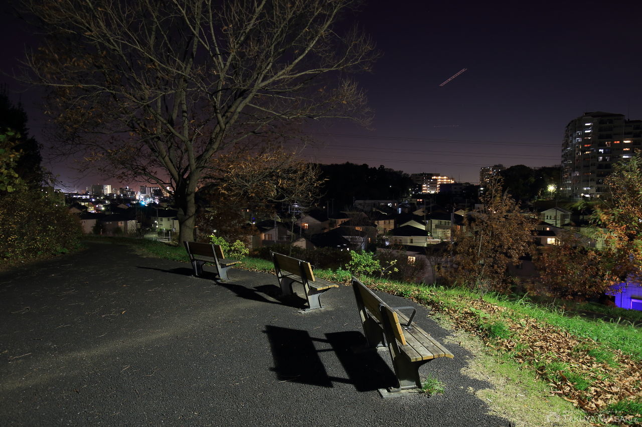宮崎そよかぜ公園の夜景スポット写真（4）
