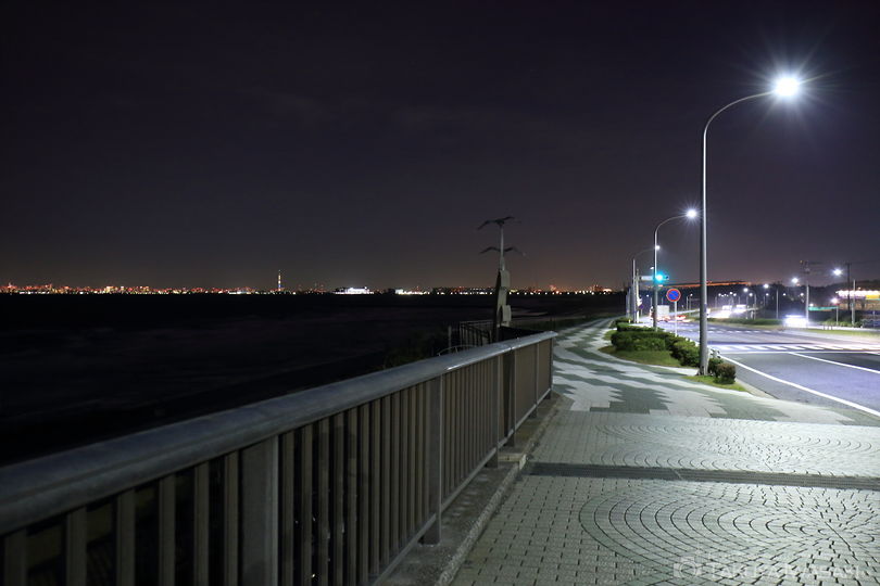 美浜大橋の夜景スポット写真（1）