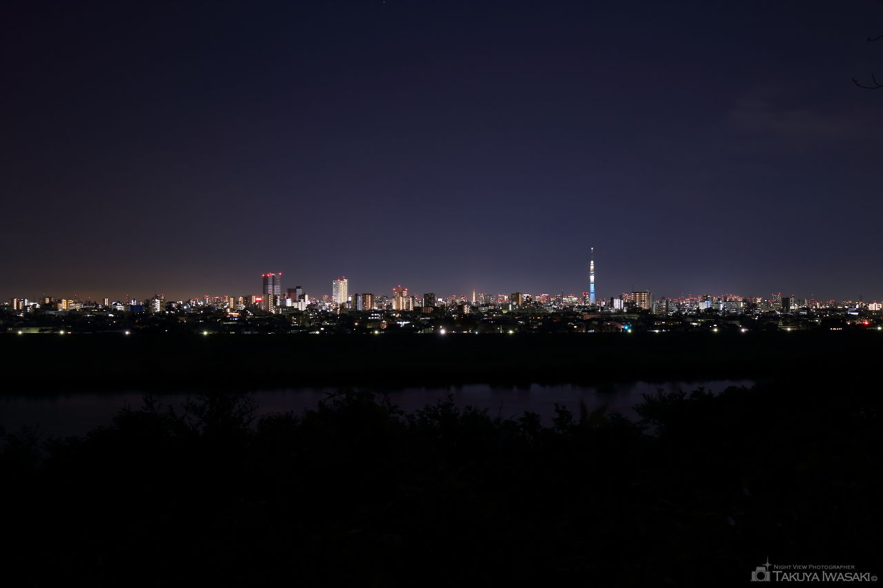 里見公園の夜景スポット写真（2）