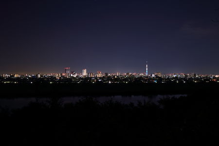 里見公園の夜景スポット写真（2）class=