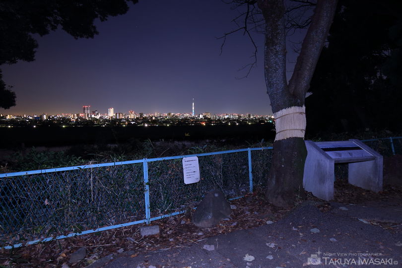 里見公園の夜景スポット写真（4）