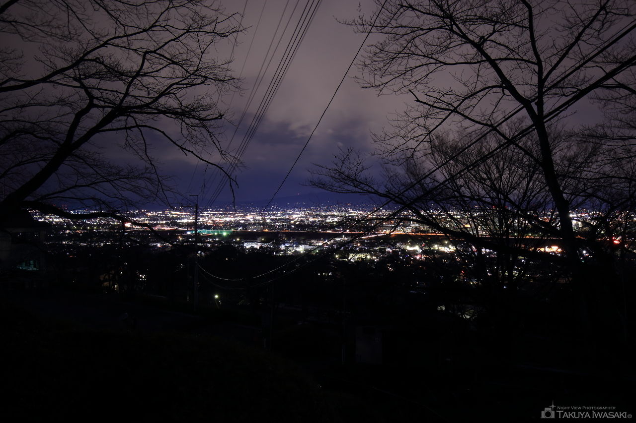 高崎観音の夜景スポット写真（1）