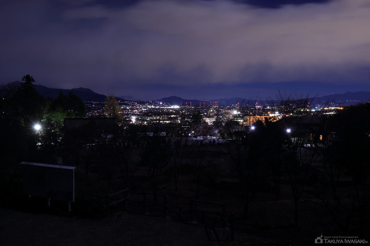 少林山 展望デッキの夜景スポット写真（3）