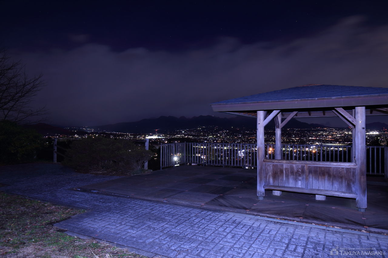 少林山 展望デッキの夜景スポット写真（4）