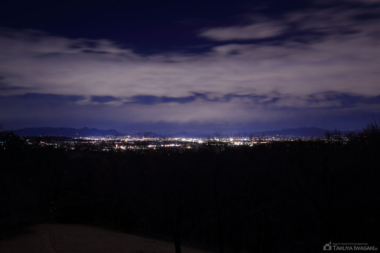 さくら山展望台の夜景スポット写真（1）