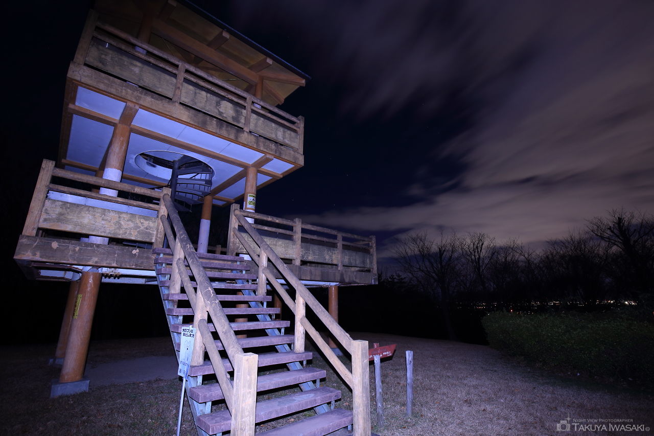 さくら山展望台の夜景スポット写真（3）