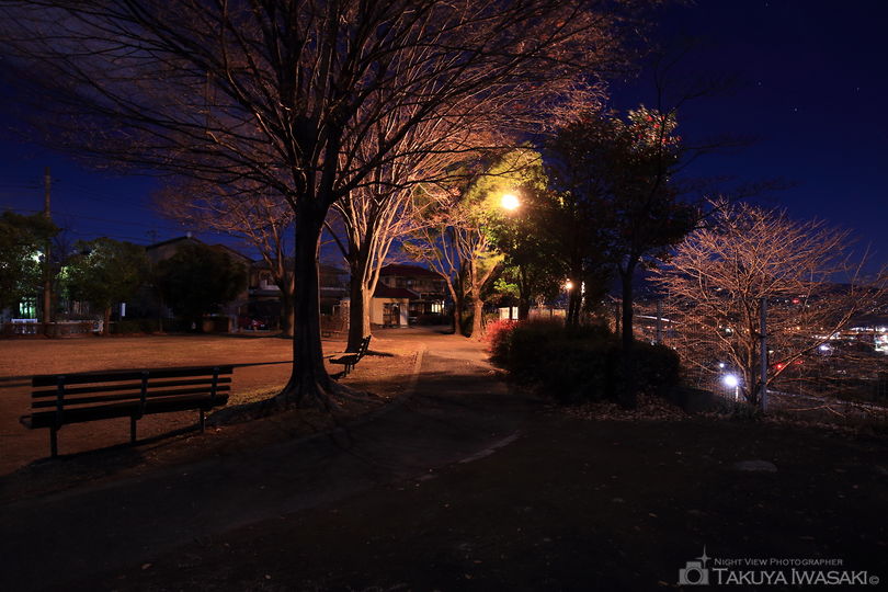 行幸田住宅団地公園の夜景スポット写真（5）