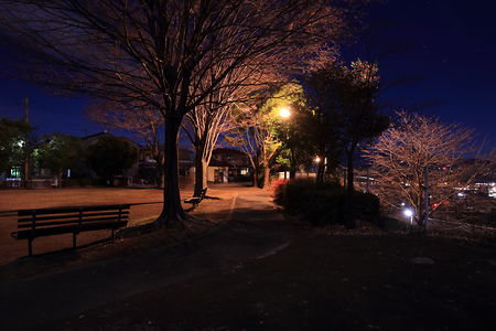 行幸田住宅団地公園の夜景スポット写真（5）class=