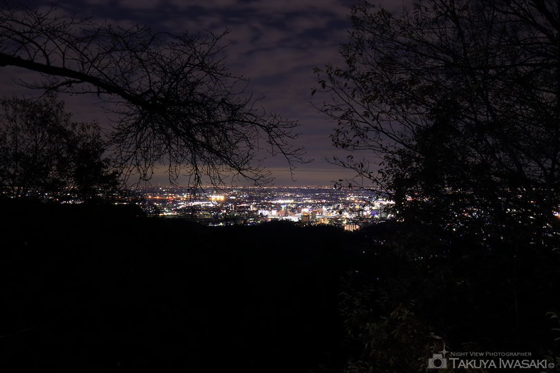 金山自然公園の夜景スポット写真（1）