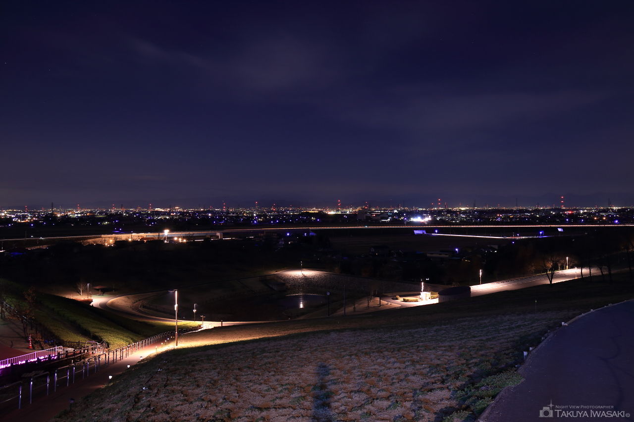 北部運動公園 憩いの丘の夜景スポット写真（1）