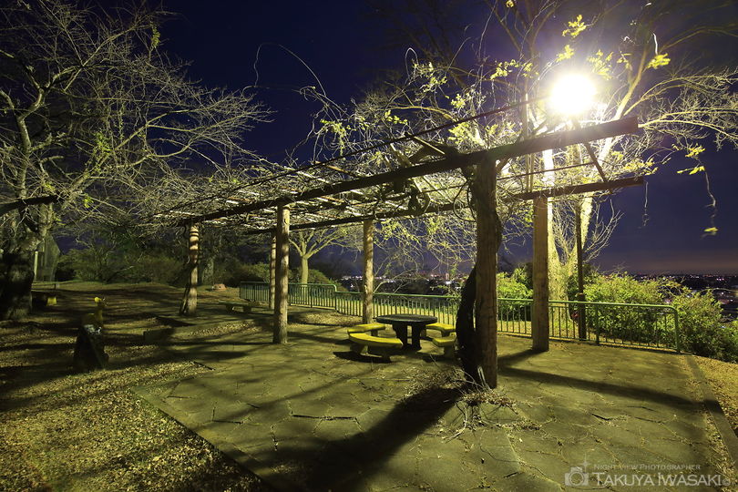 錦着山公園の夜景スポット写真（3）
