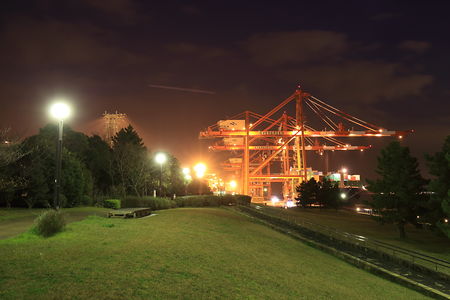 青海南ふ頭公園の夜景スポット写真（2）class=