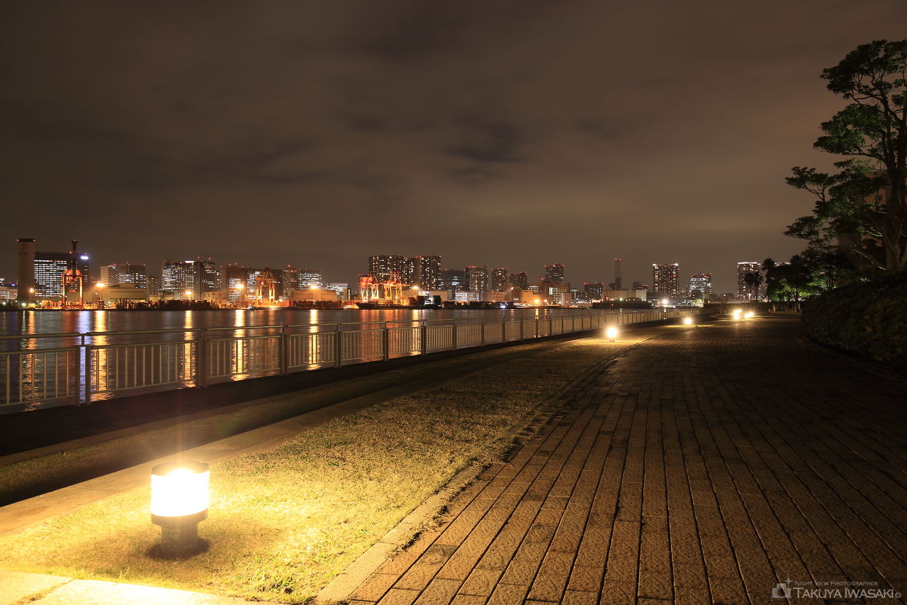 東八潮緑道公園の夜景スポット写真（4）