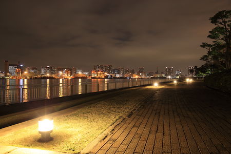 東八潮緑道公園の夜景スポット写真（4）class=