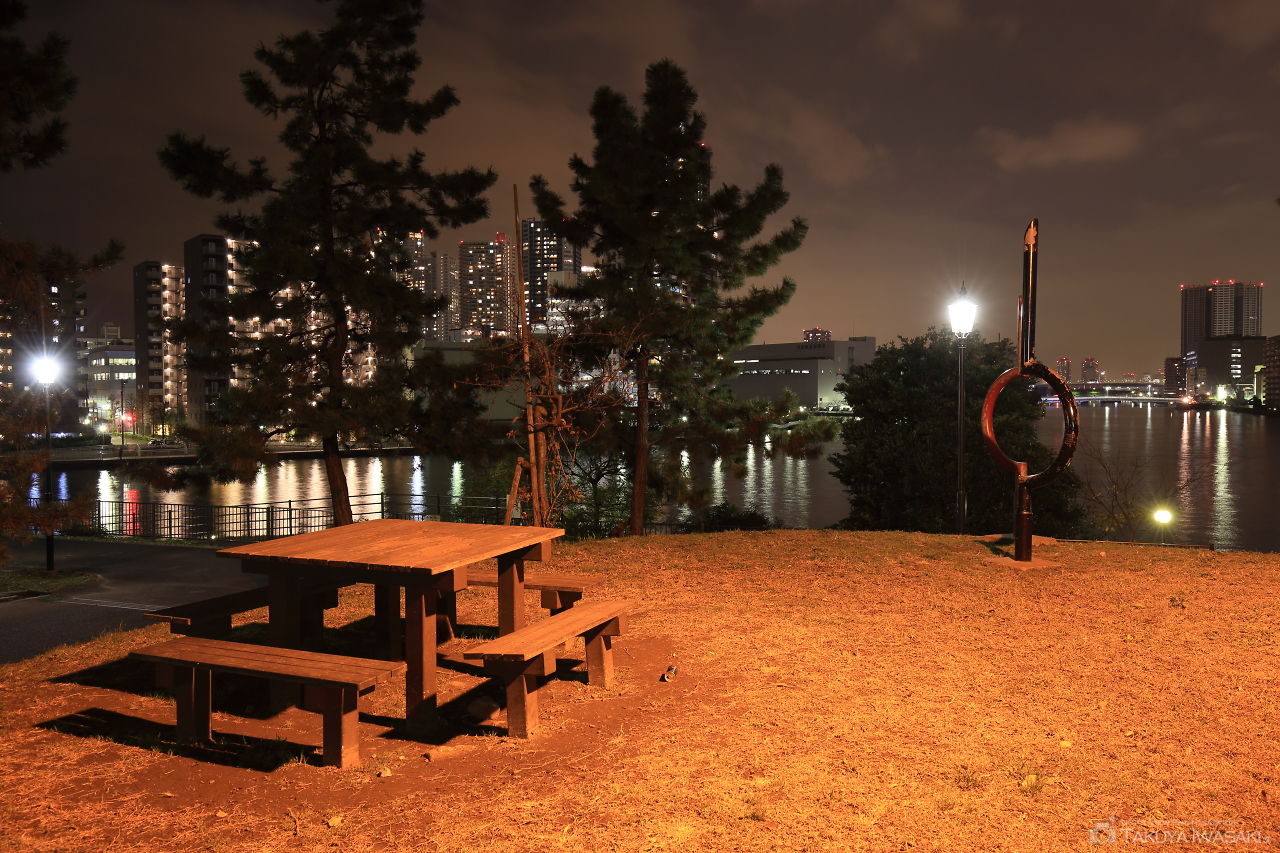 潮見運動公園の夜景スポット写真（5）