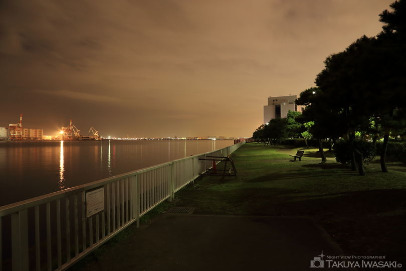 暁埠頭公園の夜景スポット写真（3）