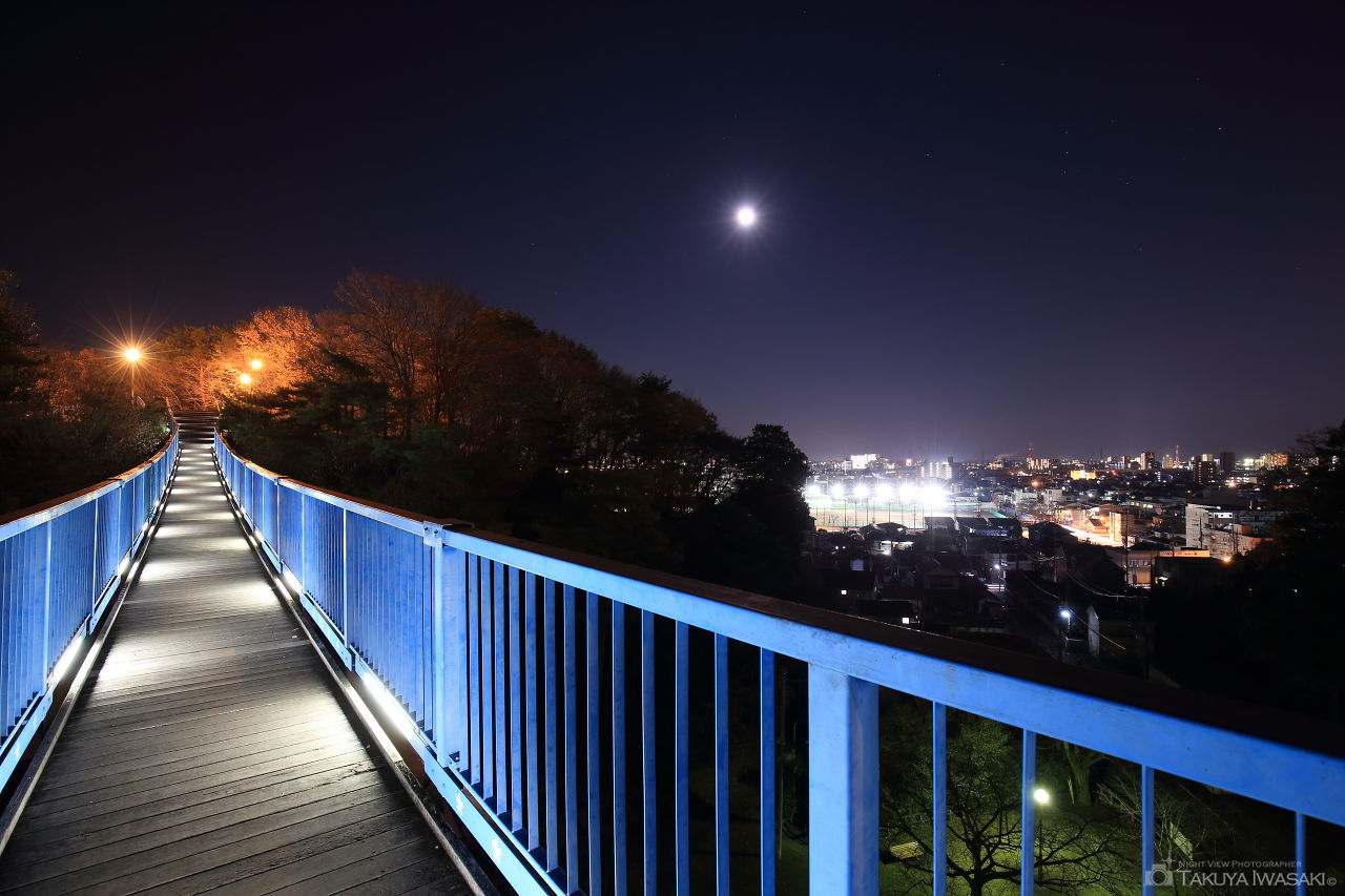 八幡山公園 アドベンチャーブリッジの夜景スポット写真（2）