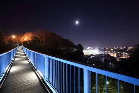八幡山公園 アドベンチャーブリッジの夜景スポット写真（2）class=