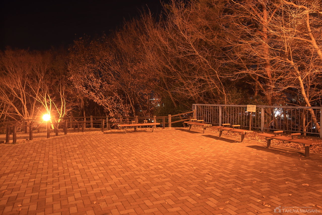 八幡山公園 アドベンチャーブリッジの夜景スポット写真（4）