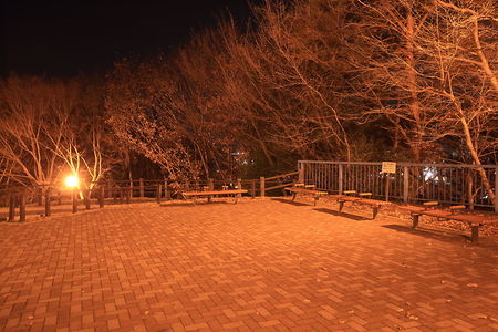 八幡山公園 アドベンチャーブリッジの夜景スポット写真（4）class=