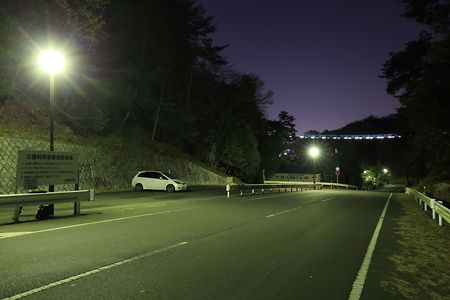八幡山公園 アドベンチャーブリッジの夜景スポット写真（5）class=