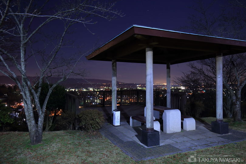 西山公園 展望デッキの夜景スポット写真（3）