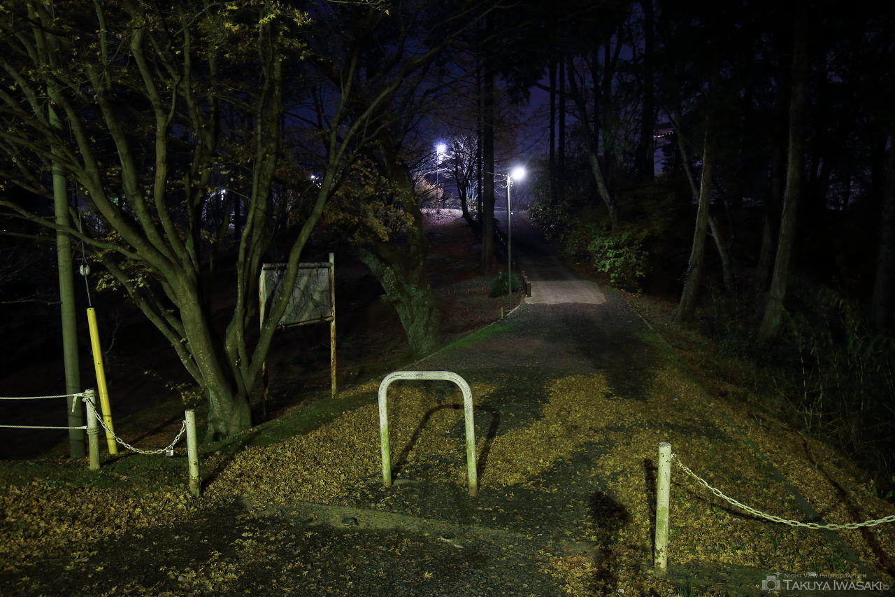 西山公園 展望デッキの夜景スポット写真（4）