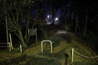 西山公園 展望デッキの夜景スポット写真（4）class=
