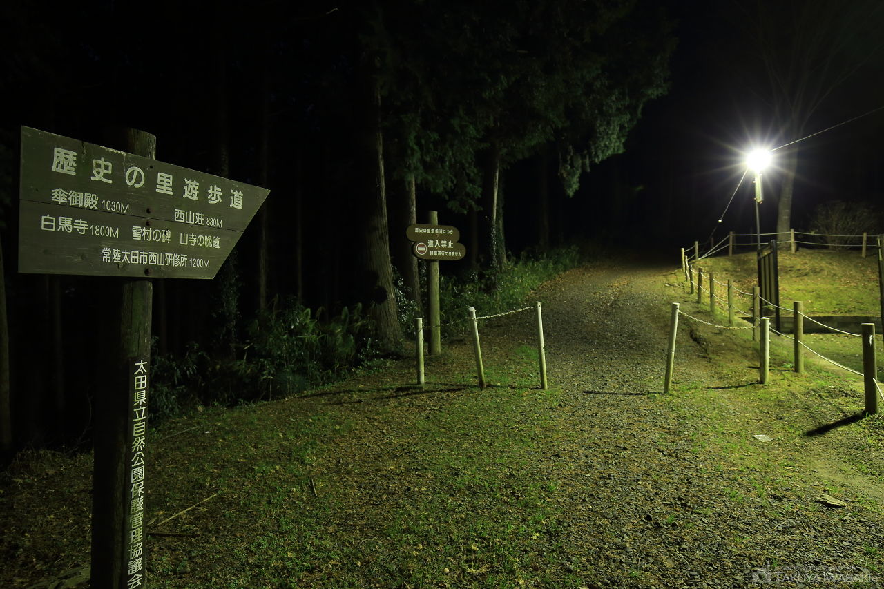 西山公園 展望台の夜景スポット写真（4）