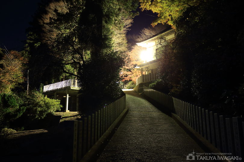 愛宕神社の夜景スポット写真（5）