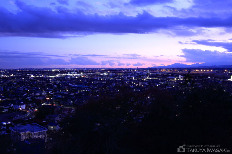 瑞穂ビューパーク 展望広場の夜景スポット写真（3）