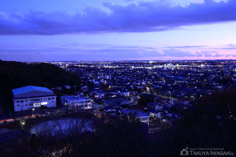瑞穂ビューパーク 展望広場の夜景スポット写真（4）