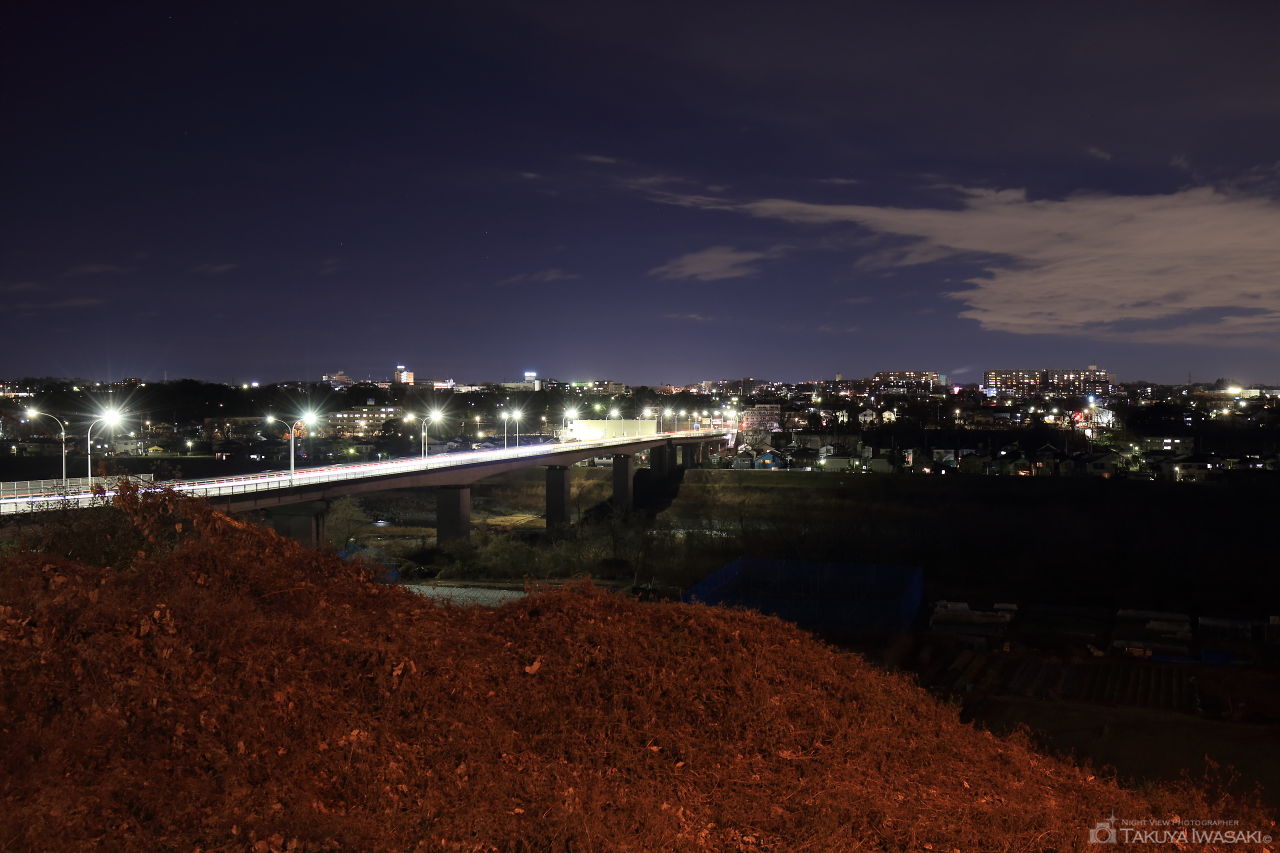 羽村大橋手前の夜景スポット写真（1）