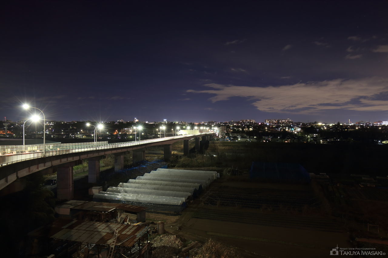 羽村大橋手前の夜景スポット写真（2）