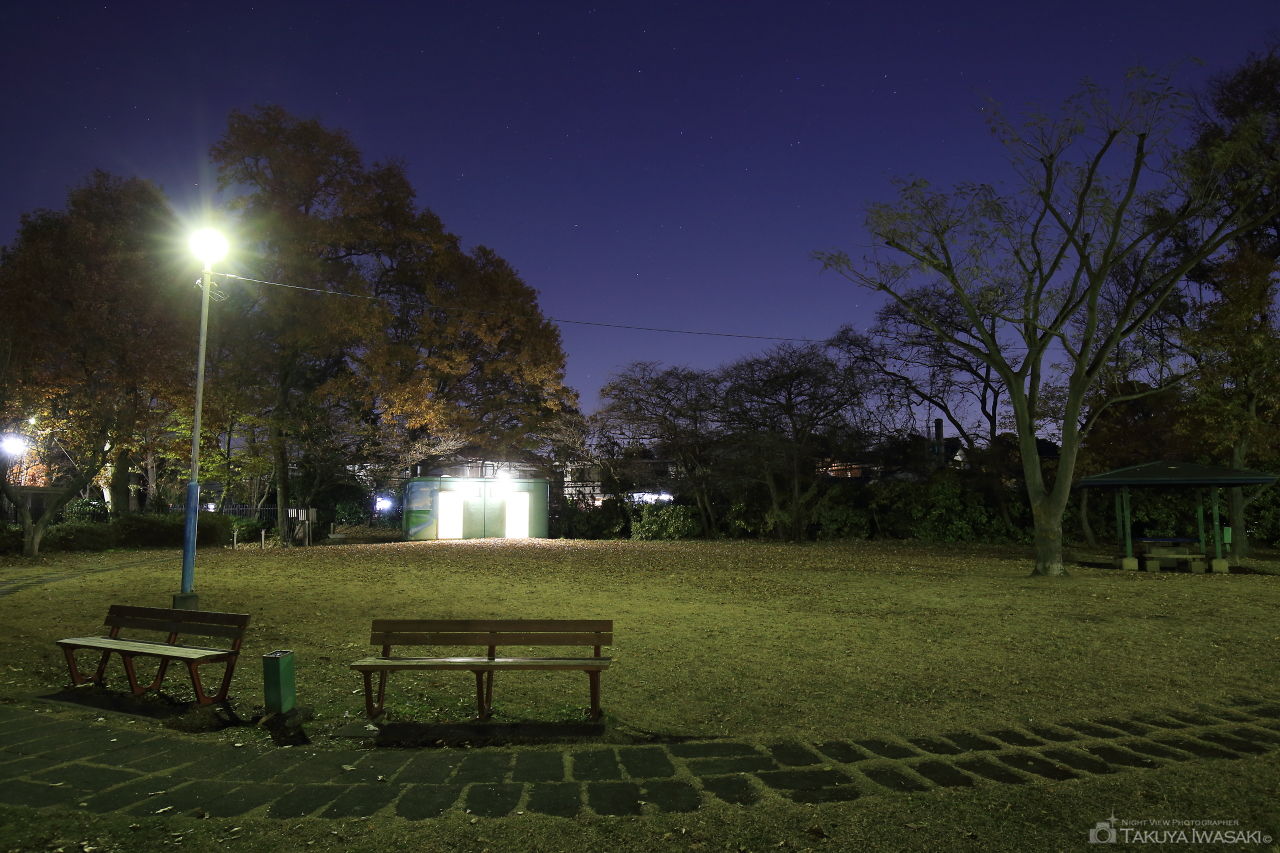小山台遺跡公園の夜景スポット写真（3）