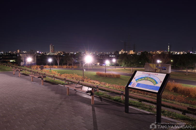 舎人公園　朝日の広場の夜景スポット写真（3）