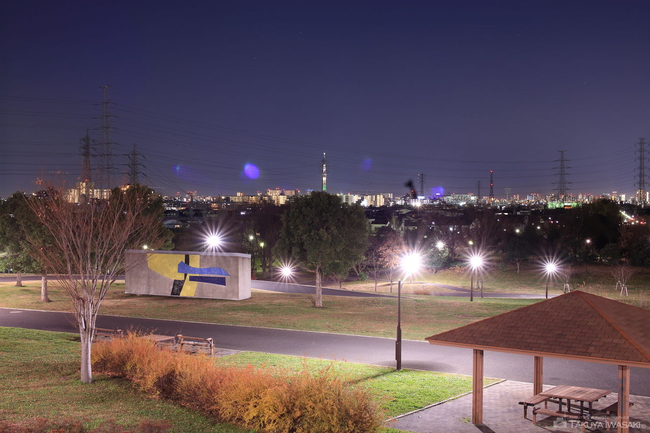 舎人公園　朝日の広場の夜景スポット写真（4）