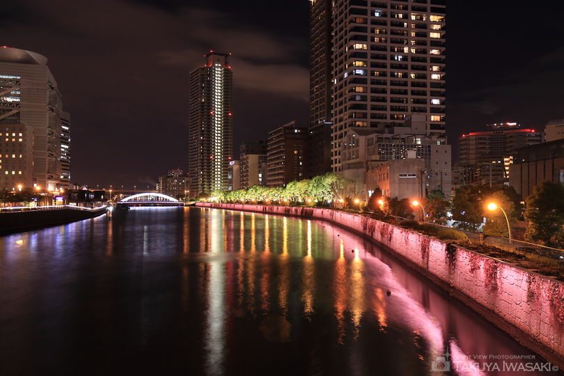 玉江橋の夜景スポット写真（2）