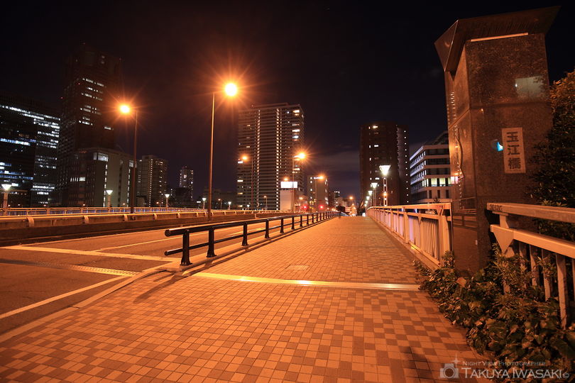 玉江橋の夜景スポット写真（5）