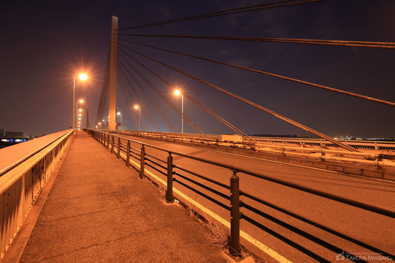 かもめ大橋の夜景スポット写真（3）