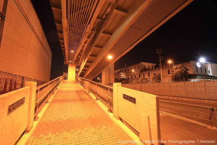 中島新橋の夜景スポット写真（5）