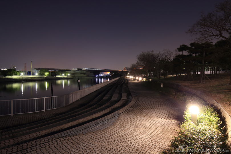 阪神なぎさ回廊の夜景スポット写真（3）