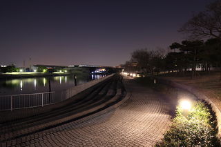 阪神なぎさ回廊の夜景スポット写真（3）class=