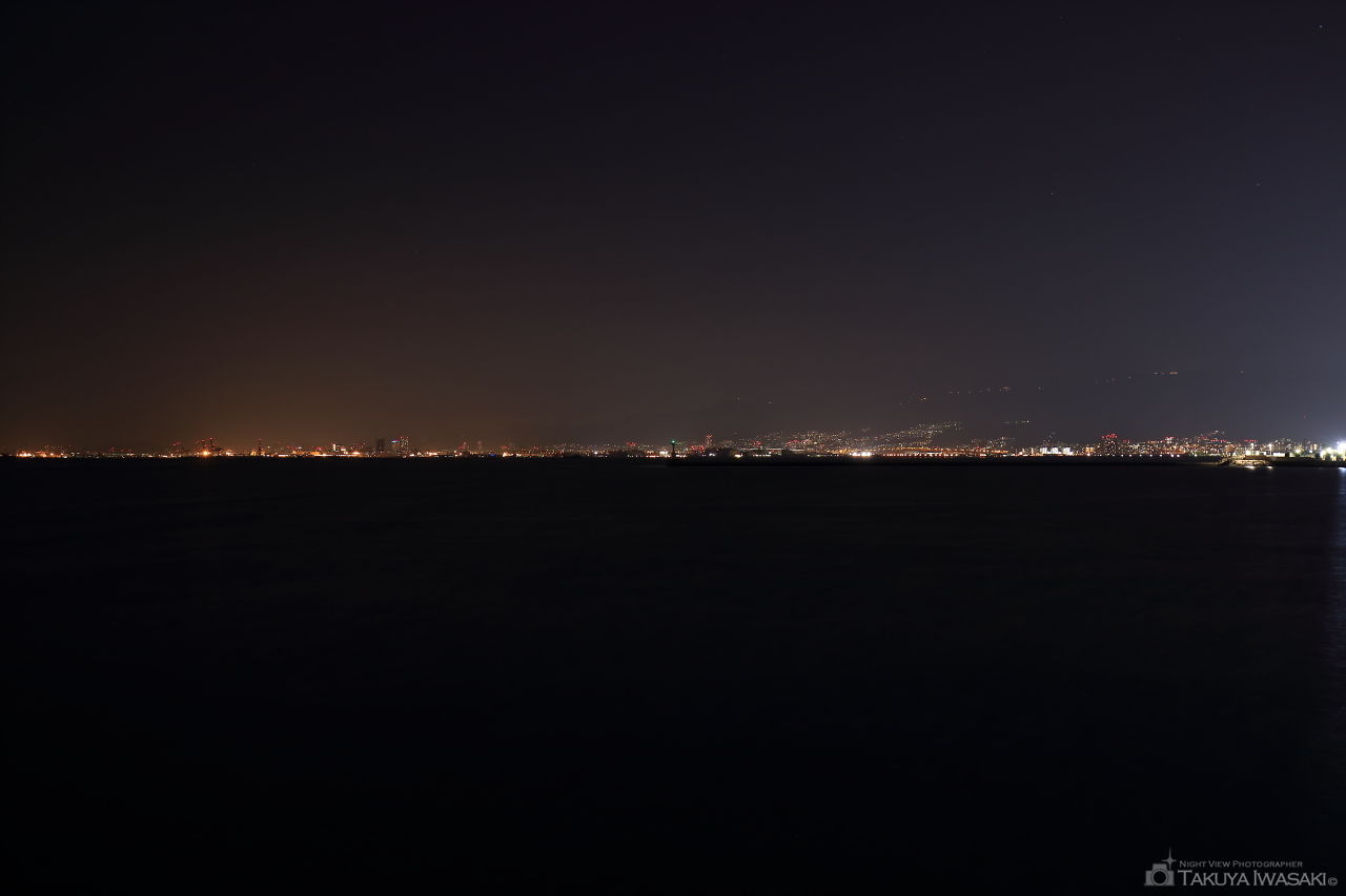 尼崎市立魚つり公園の夜景スポット写真（2）