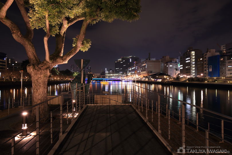 中之島公園　剣先地区の夜景スポット写真（2）
